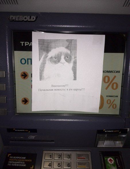 Народные маразмы (38 фото)