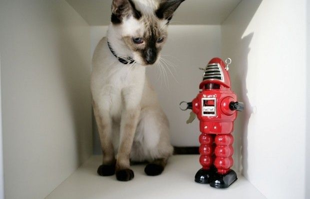 Самые значимые технологические тренды 2013 года (10 фото)