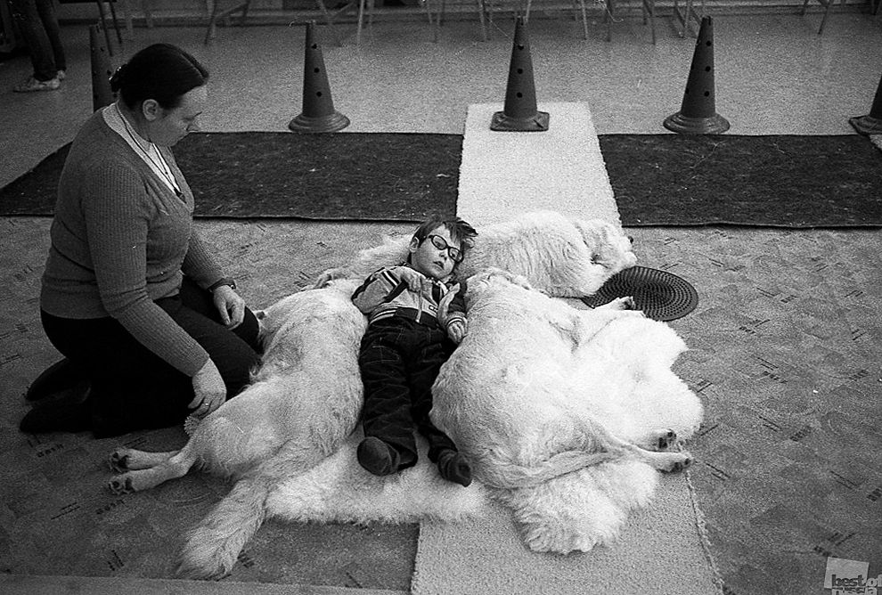 20 впечатляющих эпизодов из жизни современной России