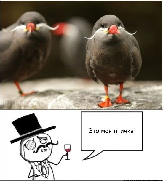 Смешные комиксы