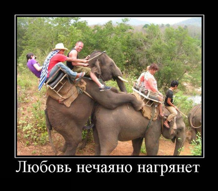 Демотиваторы