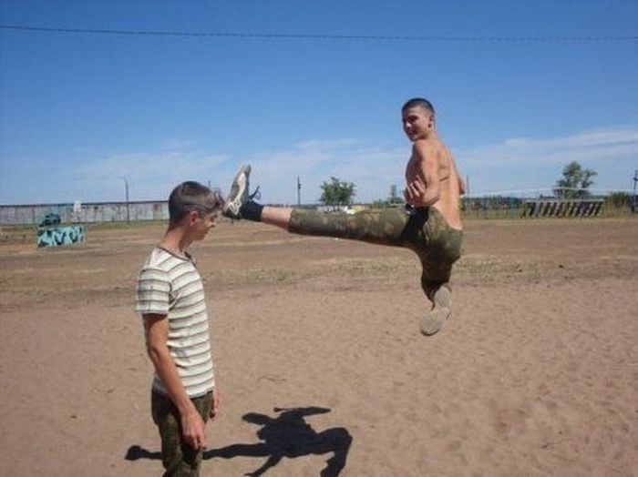 Прикольные картинки