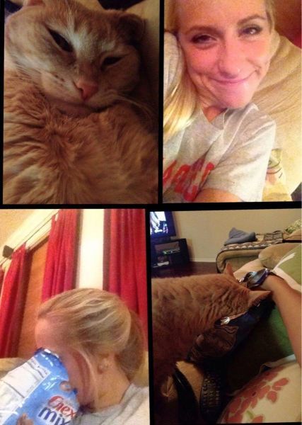 Прикольные картинки