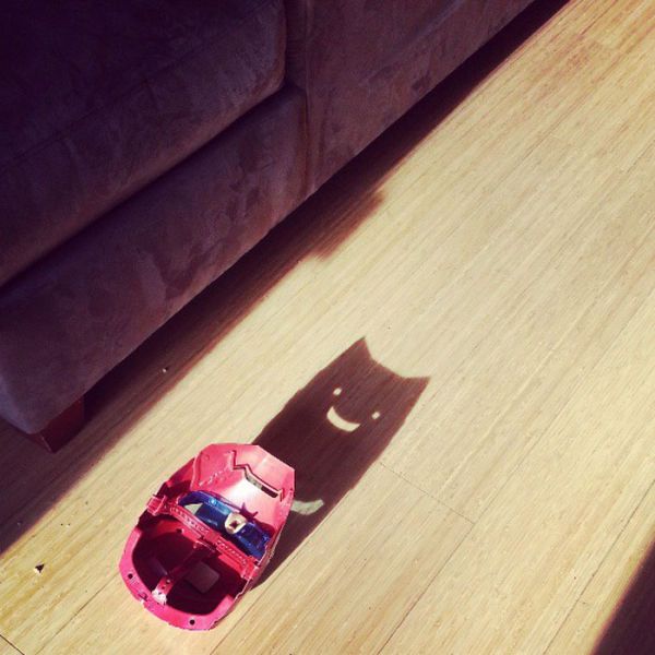 Прикольные картинки