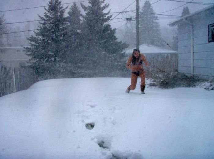 Прикольные картинки