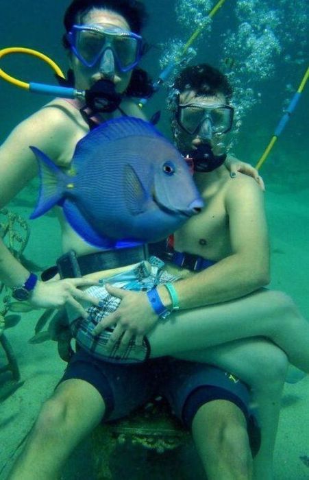 Прикольные картинки