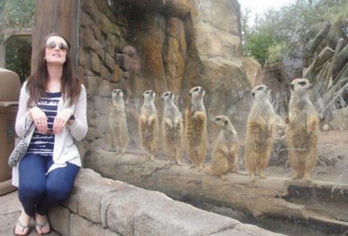 Прикольные картинки