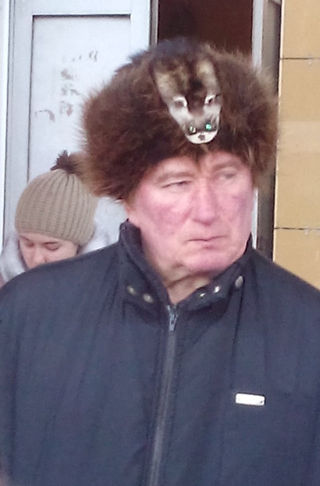 Герои социальных сетей (41 фото)