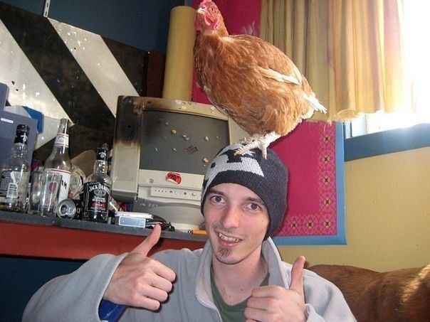 Герои социальных сетей (41 фото)