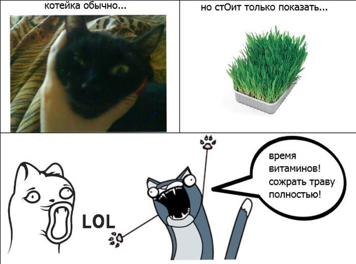 Веселые комиксы