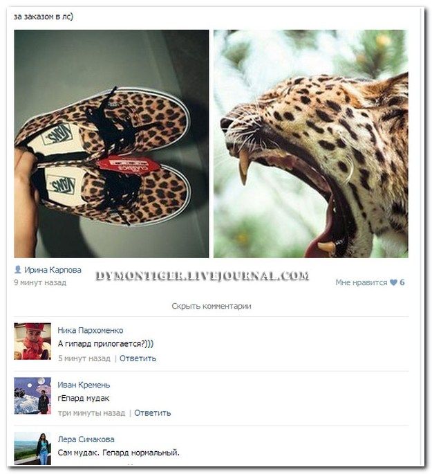 Веселые комментарии из социальных сетей (41 фото)