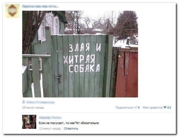 Веселые комментарии из социальных сетей (41 фото)