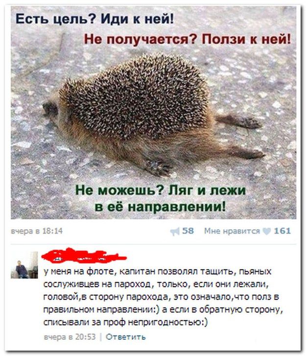 Веселые комментарии из социальных сетей (41 фото)