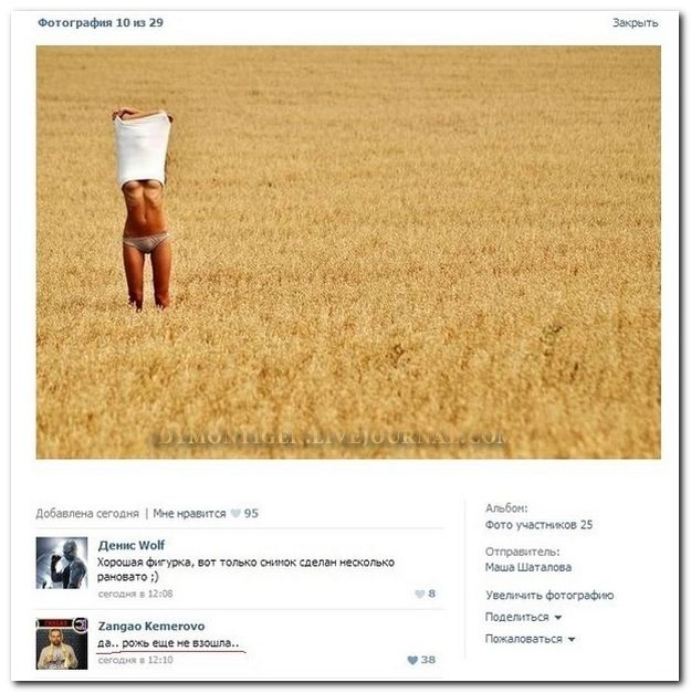 Веселые комментарии из социальных сетей (41 фото)