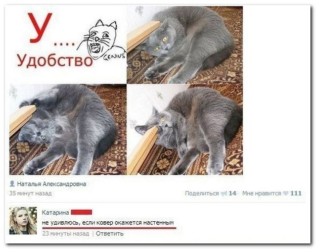 Веселые комментарии из социальных сетей (41 фото)