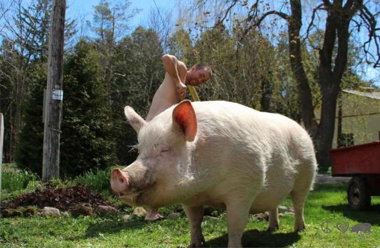 Всемирный день голого садовода — праздник голых дачников, о котором мы не просили