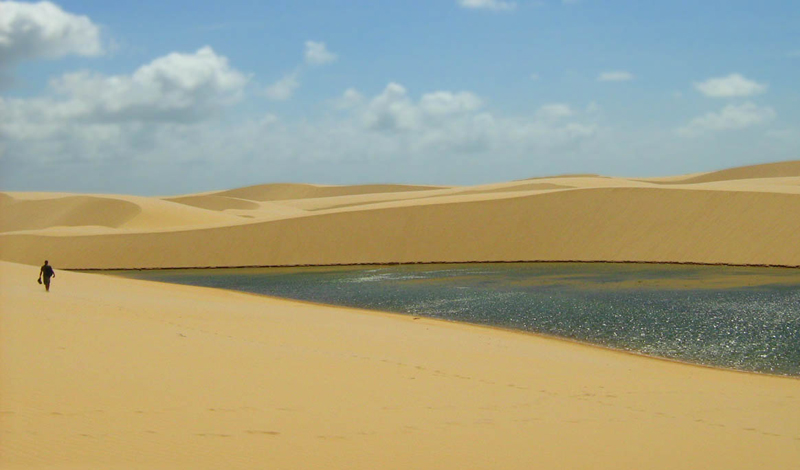 Как голод влияет на организм человека Как голод влияет на организм человека