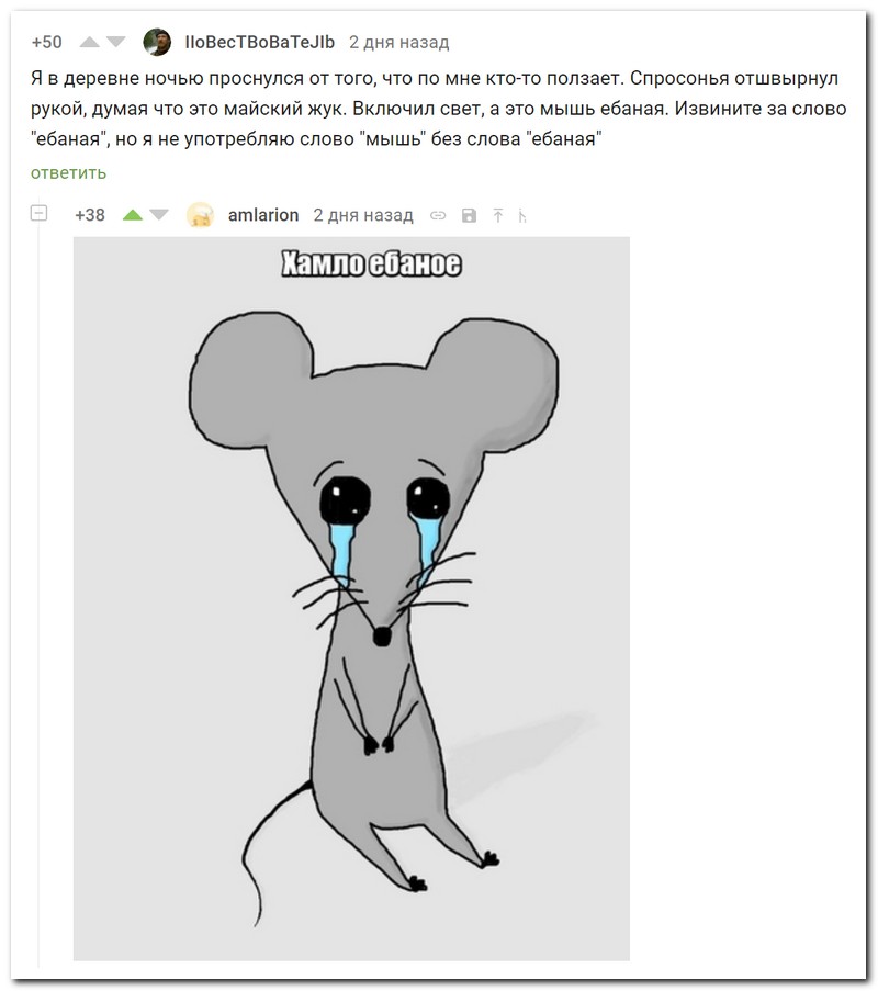 Забавные комментарии из социальных сетей