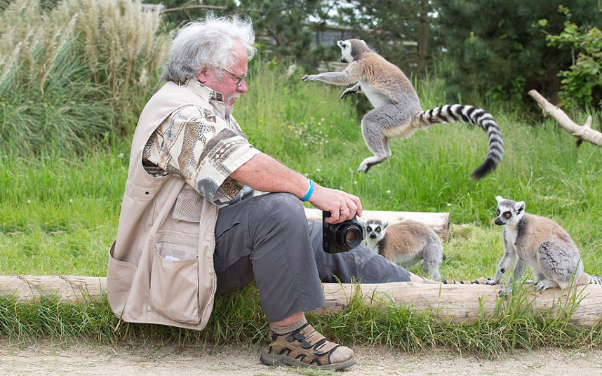 Животные в фотографиях Животные в фотографиях