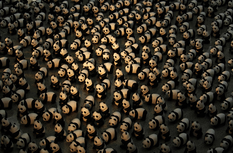 Мир в фотографиях за неделю