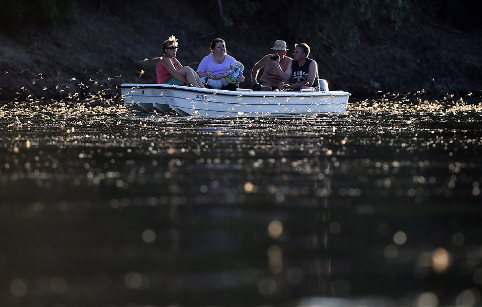 Мир в фотографиях за неделю