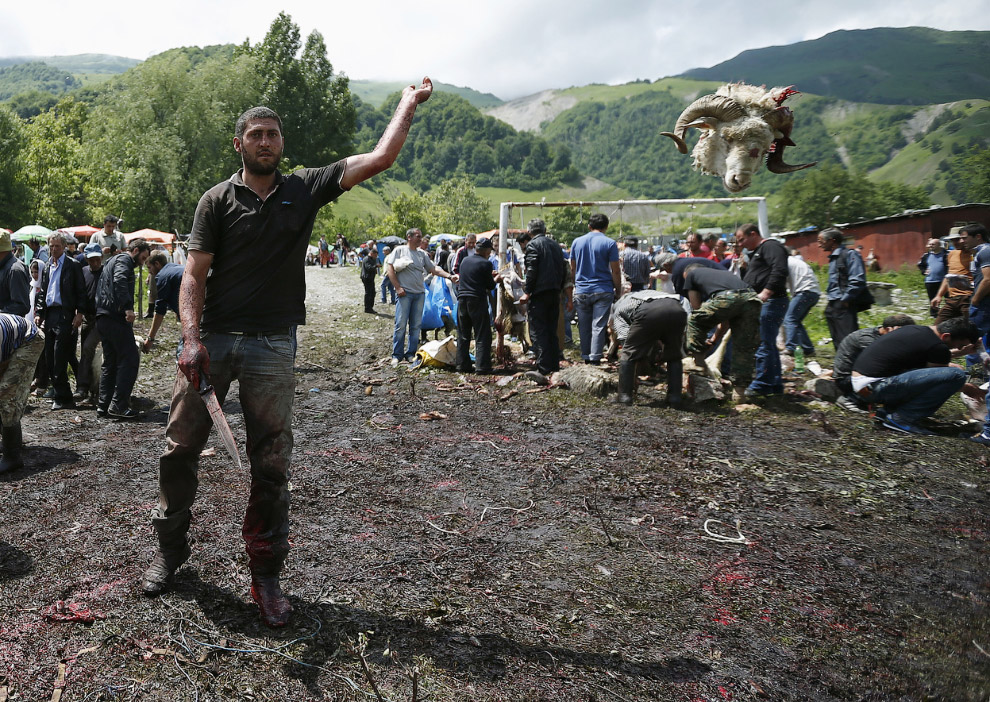 Мир в фотографиях за неделю