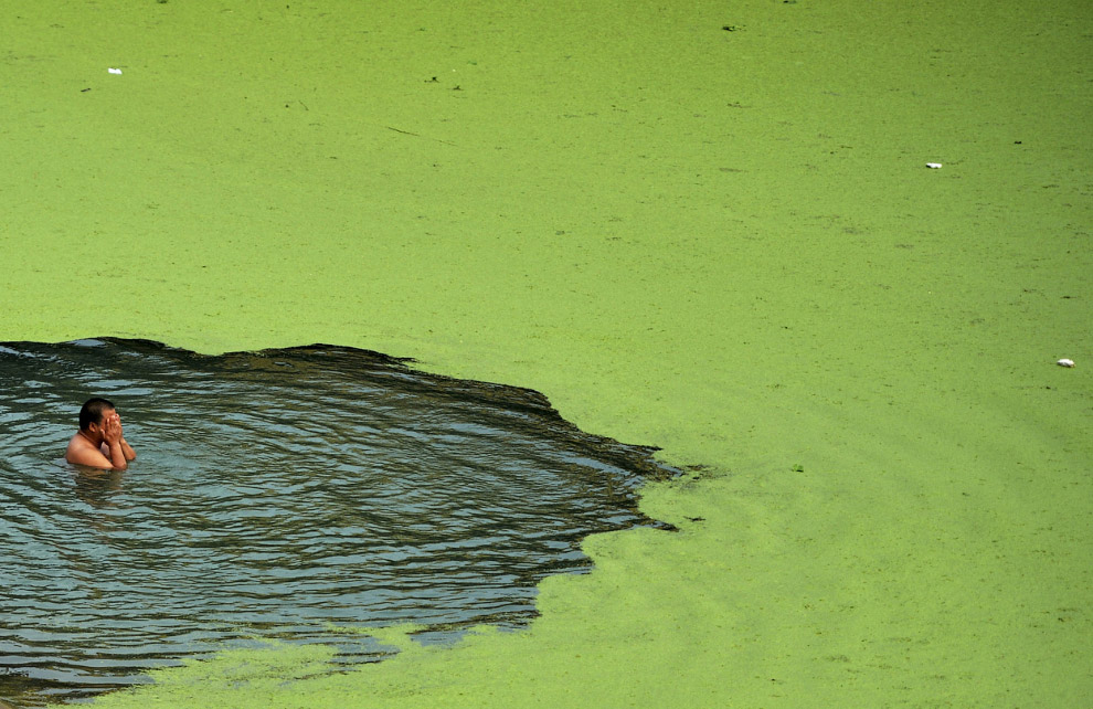Мир в фотографиях за неделю