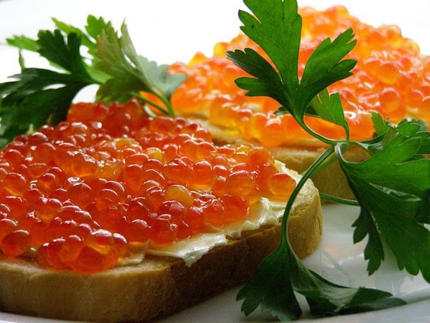 20 интересных фактов о красной икре