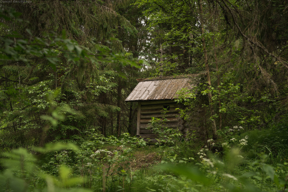Кенозеро в Архангельской области