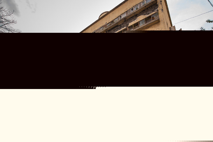 Необычный офис: Мохнатый сыр Необычный офис: Мохнатый сыр