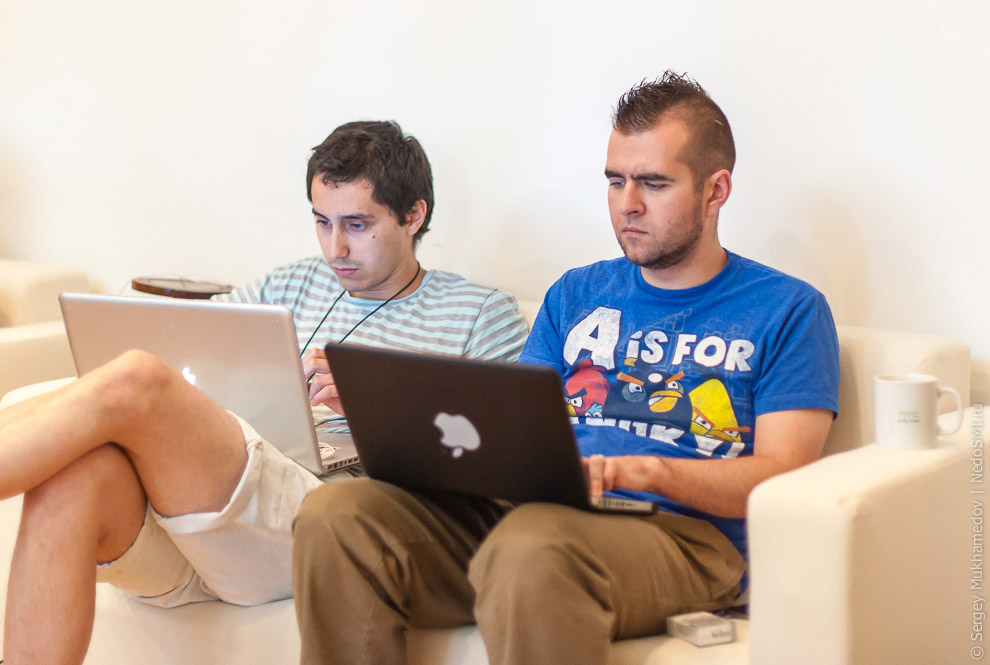 Необычный офис: Мохнатый сыр Необычный офис: Мохнатый сыр