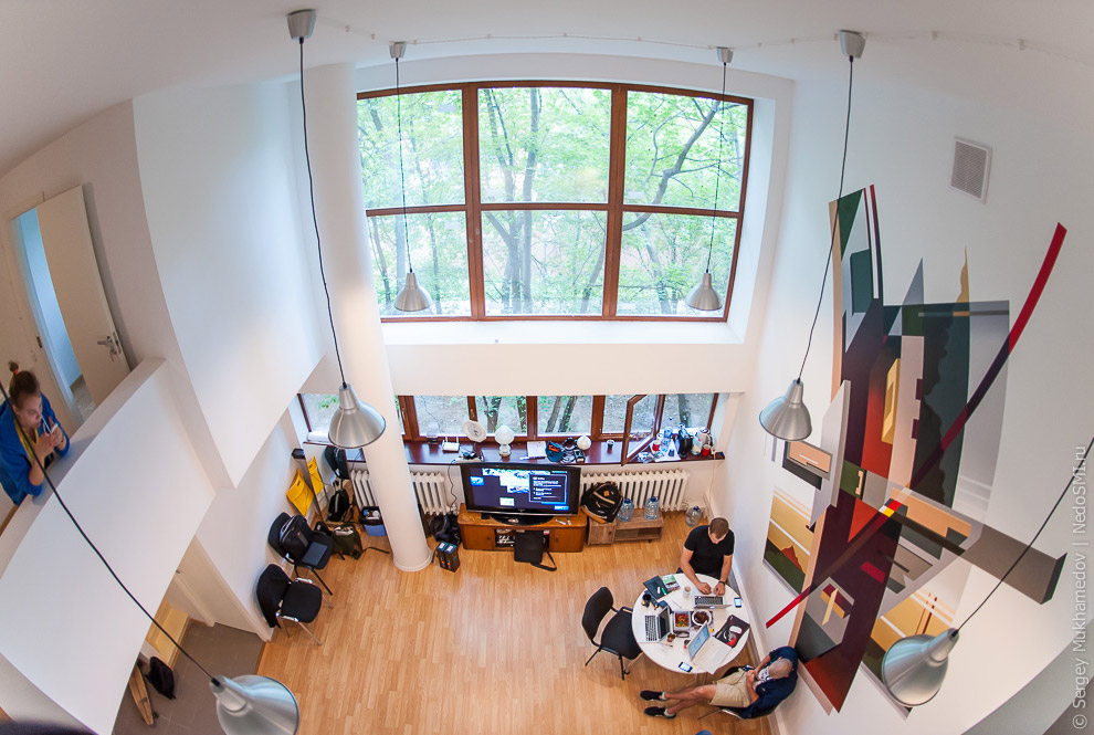 Необычный офис: Мохнатый сыр Необычный офис: Мохнатый сыр