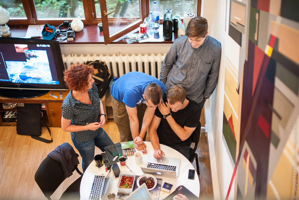 Необычный офис: Мохнатый сыр Необычный офис: Мохнатый сыр