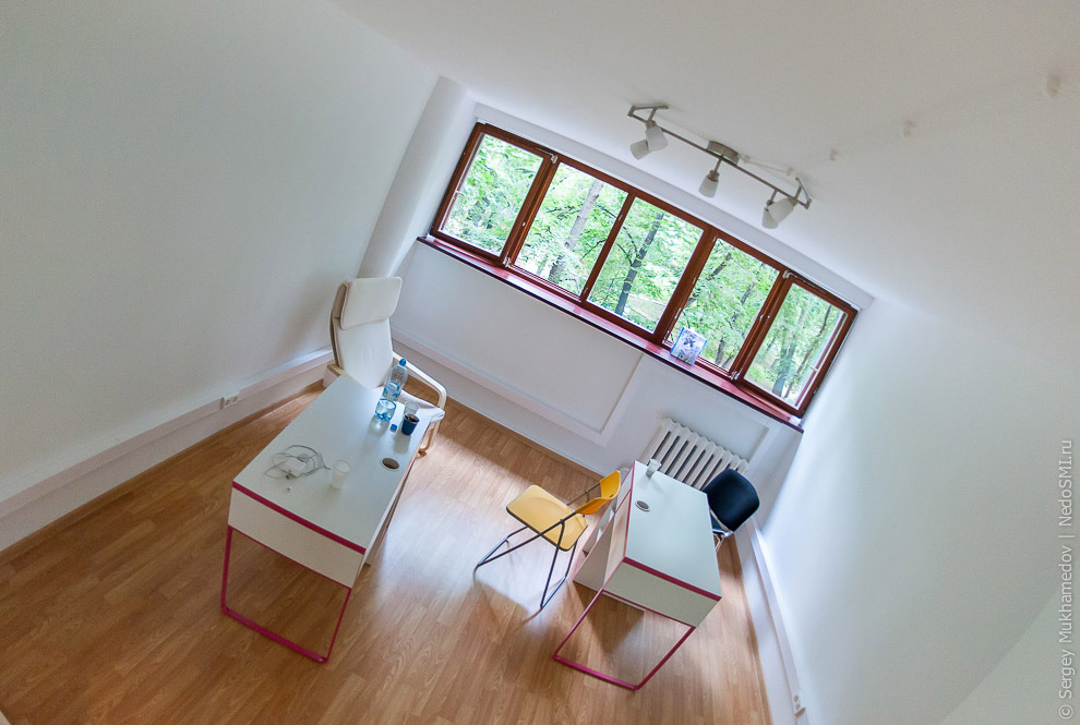 Необычный офис: Мохнатый сыр Необычный офис: Мохнатый сыр