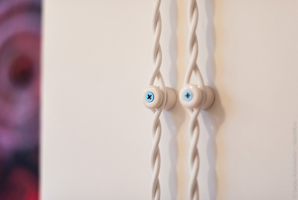 Необычный офис: Мохнатый сыр Необычный офис: Мохнатый сыр