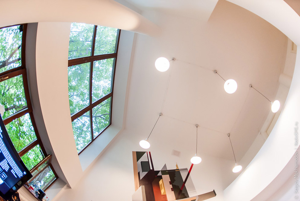 Необычный офис: Мохнатый сыр Необычный офис: Мохнатый сыр