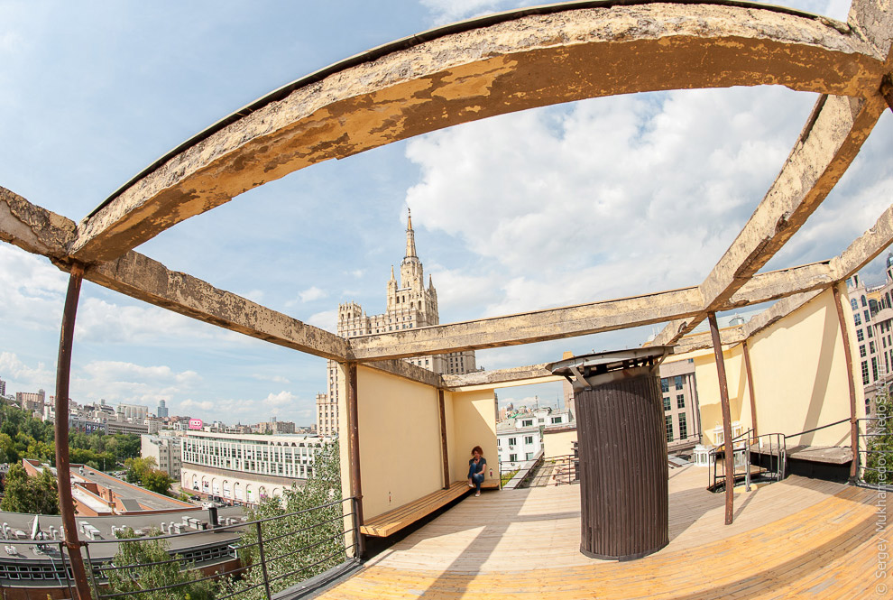 Необычный офис: Мохнатый сыр Необычный офис: Мохнатый сыр