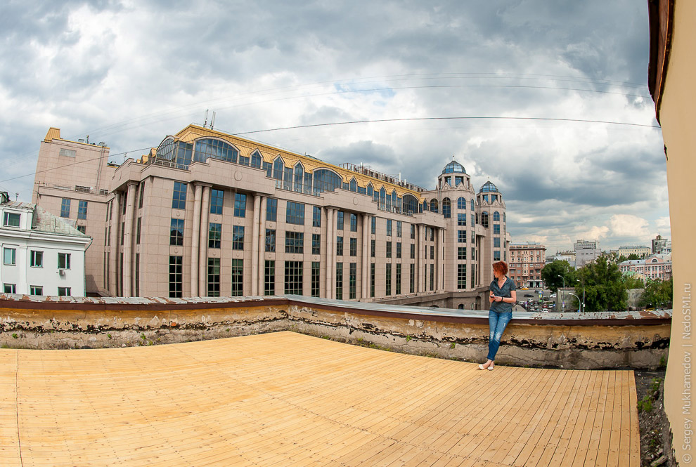 Необычный офис: Мохнатый сыр Необычный офис: Мохнатый сыр