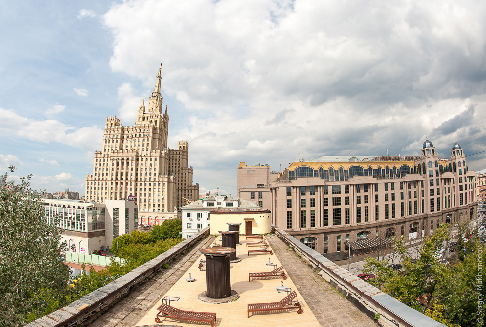 Необычный офис: Мохнатый сыр Необычный офис: Мохнатый сыр