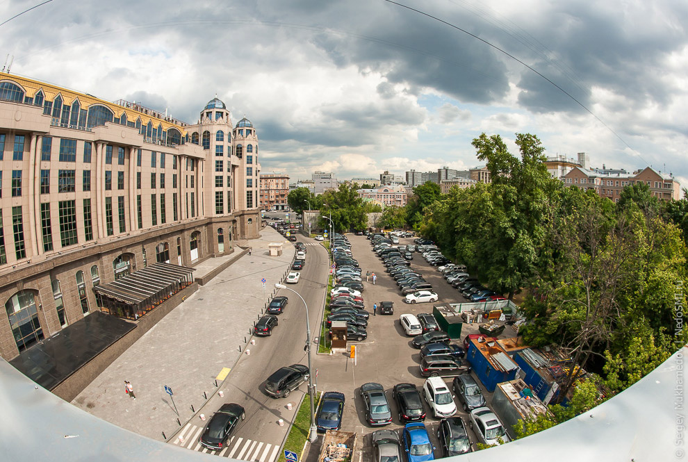 Необычный офис: Мохнатый сыр Необычный офис: Мохнатый сыр