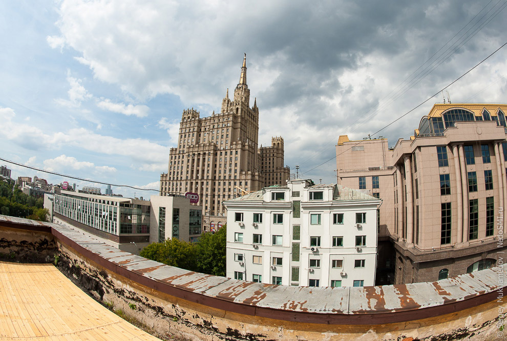 Необычный офис: Мохнатый сыр Необычный офис: Мохнатый сыр