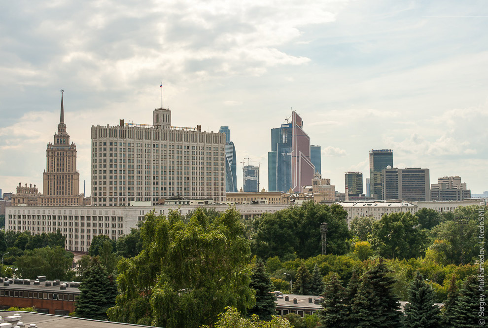 Необычный офис: Мохнатый сыр Необычный офис: Мохнатый сыр