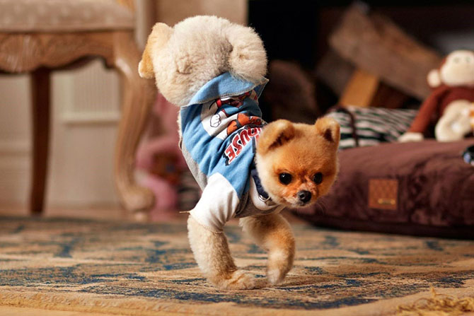 Книга рекордов Гиннеса 2015 Книга рекордов Гиннеса 2015