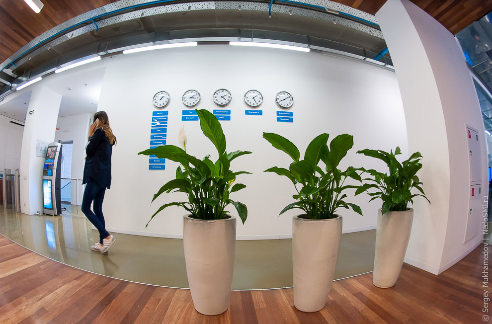 Необычный офис: За стеклом