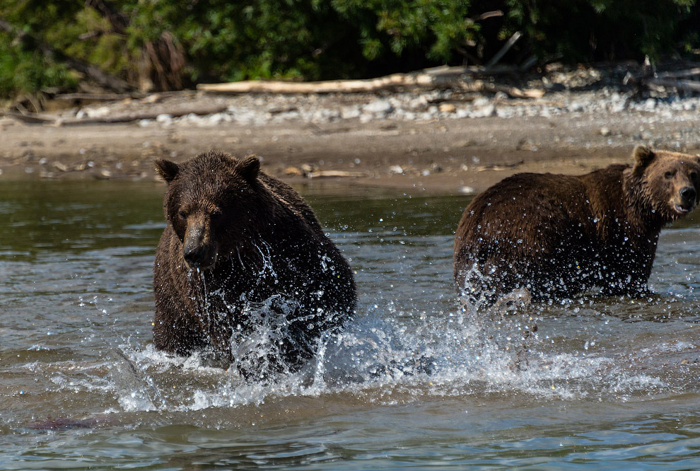Камчатка Камчатка