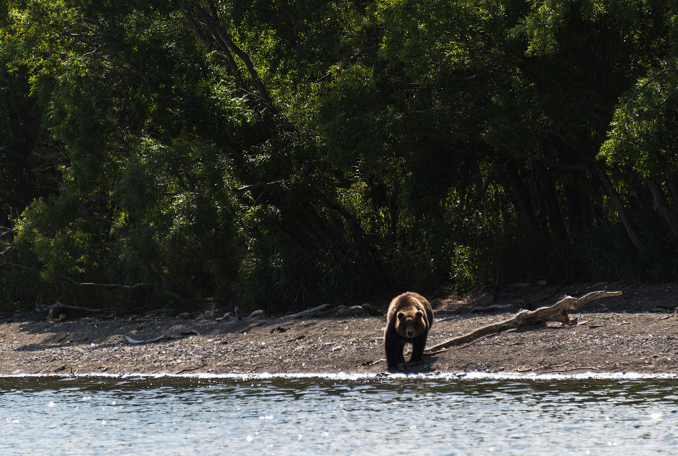 Камчатка Камчатка