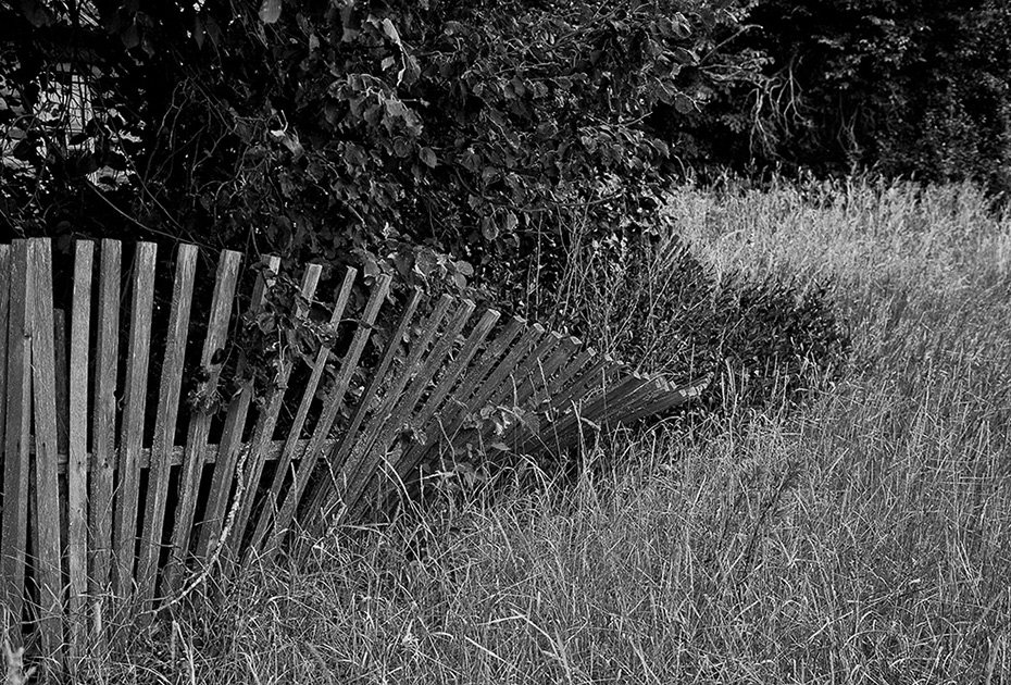 Забытая Россия