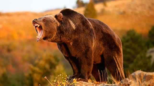 Заблуждения о том, что может вас убить