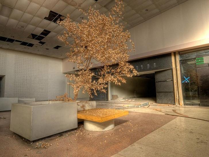 Путешествие по заброшенным мегамоллам США