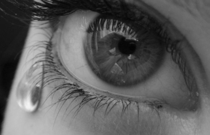 О пользе слез для здоровья О пользе слез для здоровья